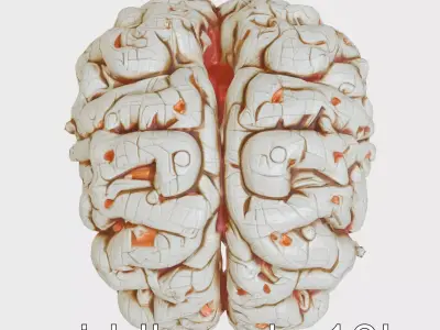 Futuristic Mechanical Brain Model Low-poly 3D model