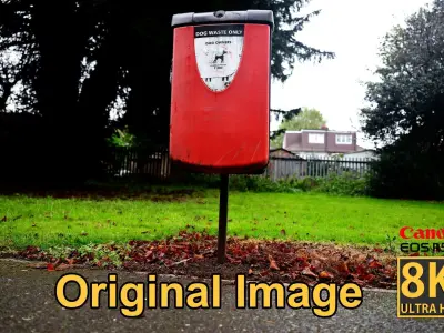 Park Dog Bin - 8K UHD - 3D Scan Model  Low-poly 3D model