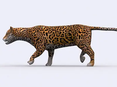 3DRT - Jaguar Low-poly 3D model