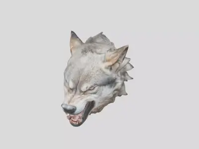 Wolf Head 3D Model Low-poly 3D model
