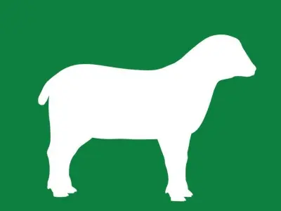 Columbia Sheep Low-poly 3D model