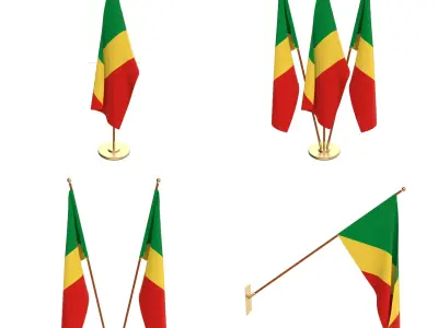Congo Flag Pack 3D model
