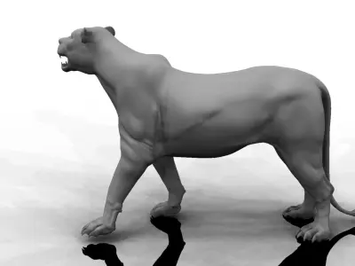 female lion 3d model 3D model