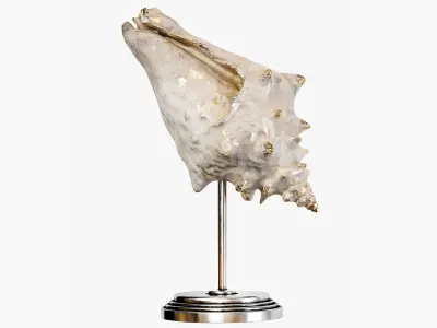 Sea shell decorative set 03 3D model