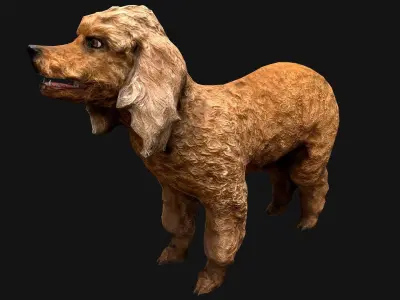 Dog Cockapoo  Cocker Spaniel Mix Poodle Low-poly 3D model