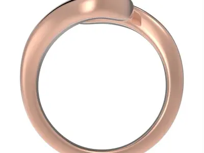 Flowing ring 3D print model