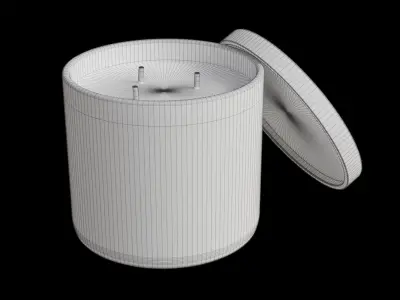 Cardamom Filled 3-Wick Candle Low-poly 3D model