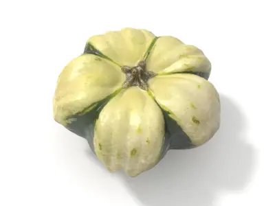 Decorative Gourd Pumpkin Squash Flower 3D Scan 3D model
