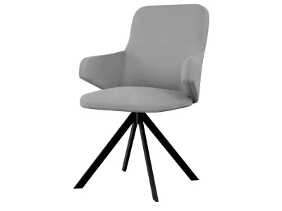 Vigo Swivel Side Chair 3D model