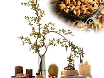 decorative set 42 3D model get