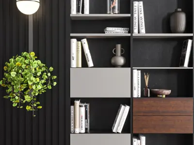 hallway002 bookcase with two bookshelves and plant 3D model