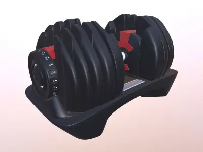 Adjustable Dumbbell 3D model
