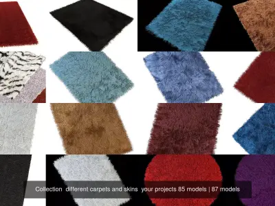 Collection  different carpets and skins  your projects 85 models