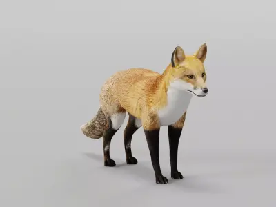 Red Fox Animals Low-poly 3D model