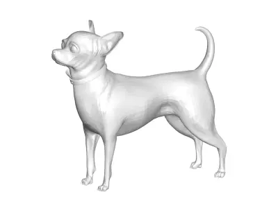 DOG - 3D model get