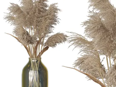 Reed Set vase with dried grass in it 3D model