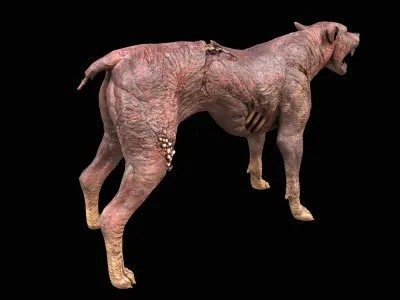 Zombie Dog PBR Low-poly 3D model