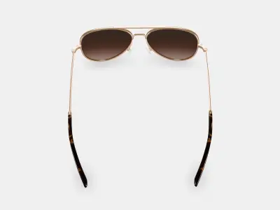 Raider Sunglasses in Polished Gold Low-poly 3D model