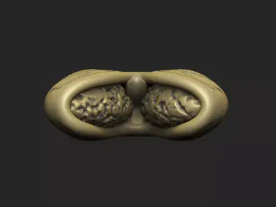 ribcage lung skeleton bone costal anatomy design 3D print model