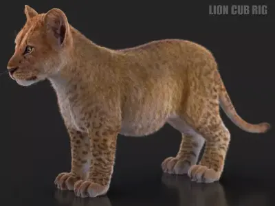 Lion Cub RIG XGEN CORE 3D model