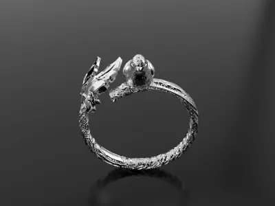 Bird Ring 3D print model