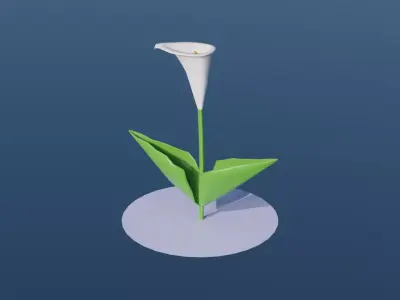 Calla Lily Flower Low-poly 3D model