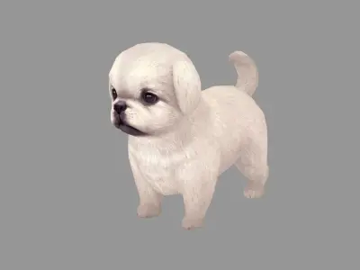 Cartoon pet puppy - White Pekingese - baby dog  Low-poly 3D model