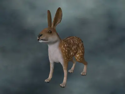 RABT-002 Rigged Rabbit Low-poly 3D model