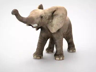 ELEPHANT baby Low-poly 3D model