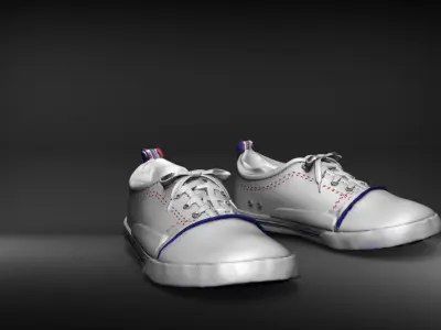 Topper canvas sneakers- Print Model 3D 3D print model