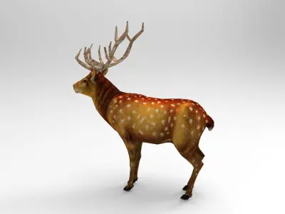 Game Ready Deer Rigged Low-poly 3D model