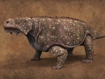 Bradysaurus baini Low-poly 3D model