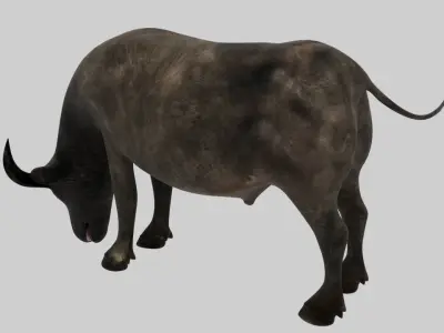 Buffalo Animated VFX Grace Low-poly 3D model