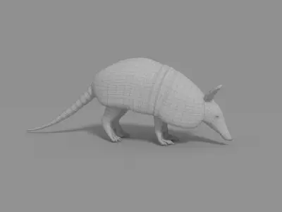 Armadillo Low-poly 3D model