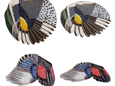 Rugs and carpets 3D Model Collection