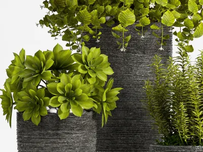 Decorative plant set-68 3D model