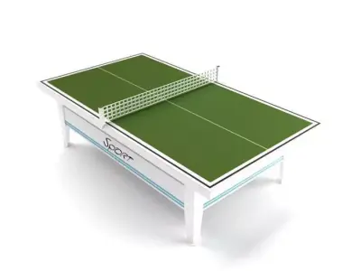 Table Tennis Court 3D model