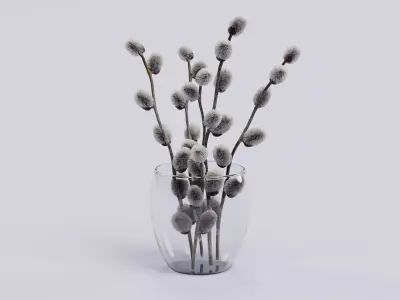 -Willow Catkins in Vase- 3D model