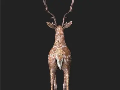 deer High Poly with antlers 3D model