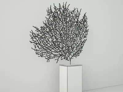 Natural Exotic Sea Fan 3D model