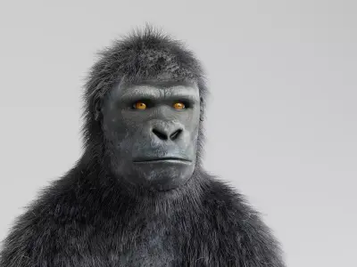 -Western Lowland Gorilla- 3D model