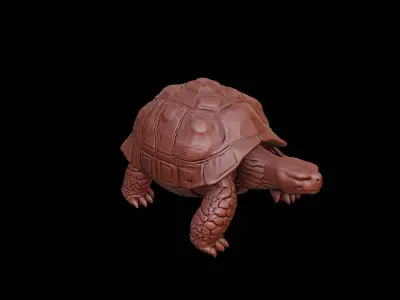 Tortoise Animal Sculpture 3D print model get