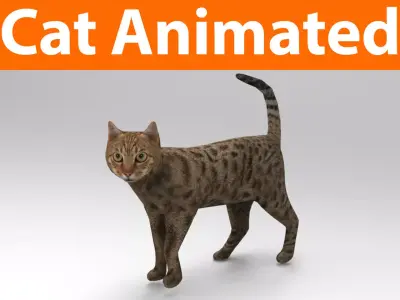 3D cat animated 3d low poly  Low-poly 3D model