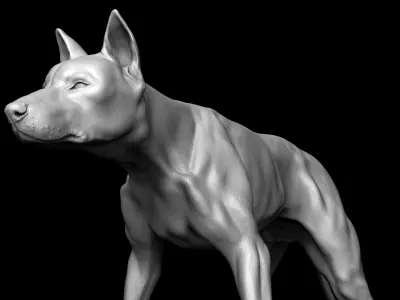 Dog Model 3D model buy