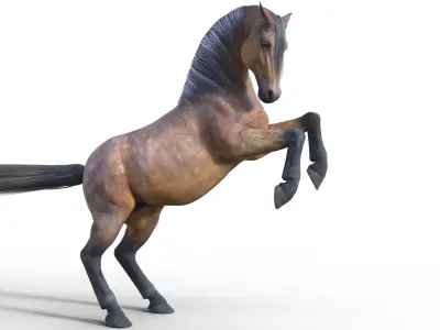 Realistic Rigged Horse  3D model