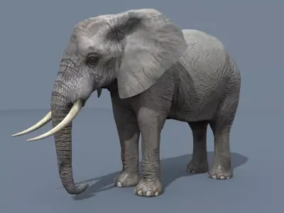 PRO Elephant 4K Animated - 2022 Upgrade 3D model