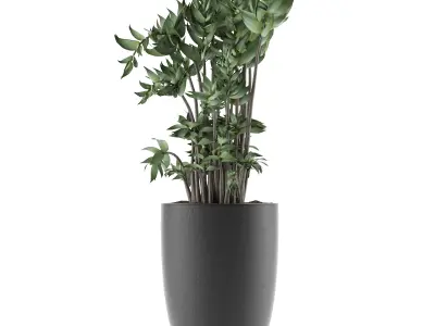 House Plant 18 3D model