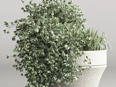 indoor plant stand 55 3D model
