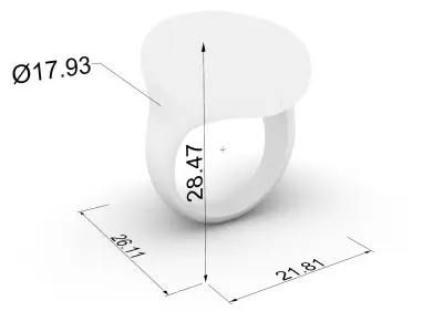 Signet Training Ring JDBCo 3D print model