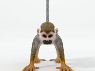 Squirrel Monkey Low-poly 3D model
